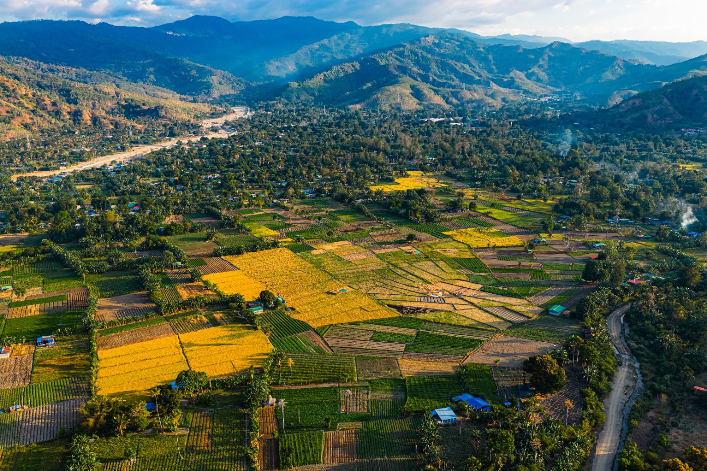 Aerial view of terraced farmland in a river valley, Timor-Leste